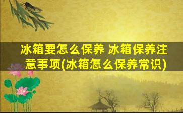 冰箱要怎么保养 冰箱保养注意事项(冰箱怎么保养常识)